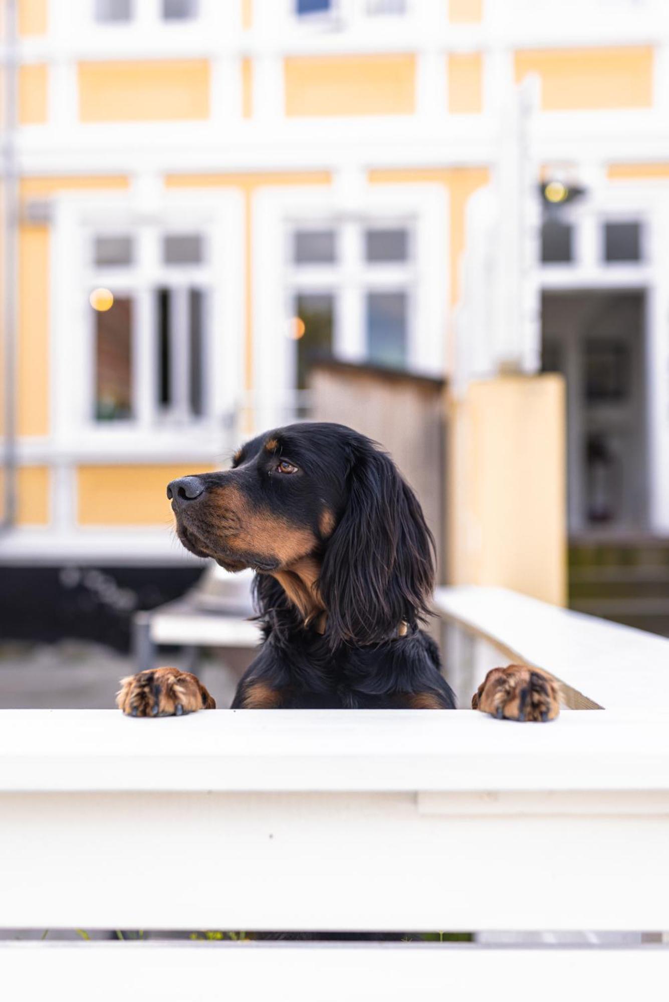 Arnfeldt Hotel Ærøskøbing エクステリア 写真